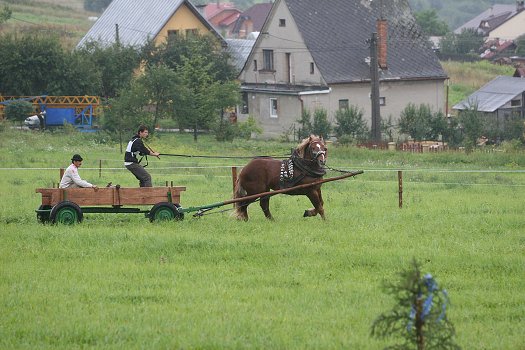 fotocka_20080809_00912.jpg