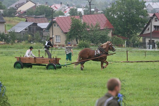 fotocka_20080809_00913.jpg