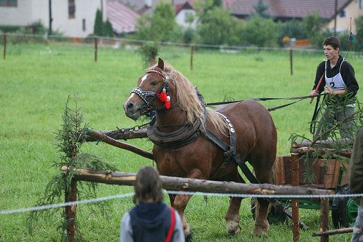 fotocka_20080809_00915.jpg