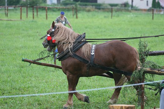 fotocka_20080809_00916.jpg