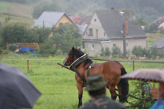 fotocka_20080809_00928.jpg