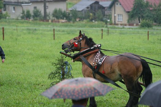 fotocka_20080809_00934.jpg