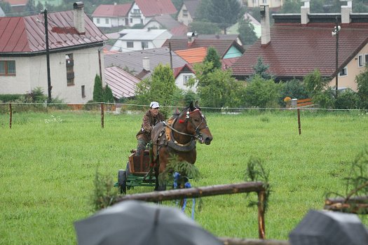 fotocka_20080809_00937.jpg