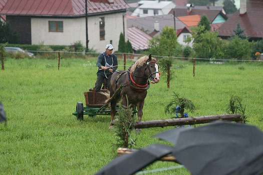 fotocka_20080809_00943.jpg