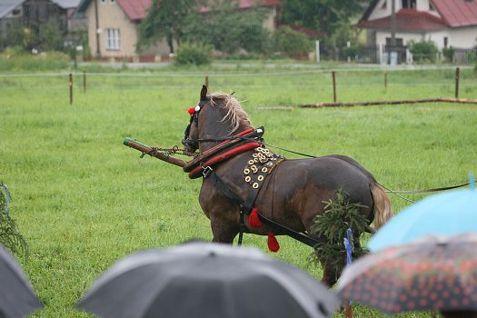 fotocka_20080809_00944.jpg