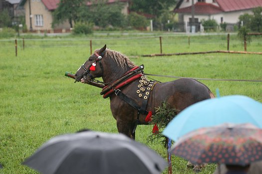 fotocka_20080809_00945.jpg