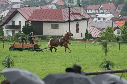fotocka_20080809_00950.jpg