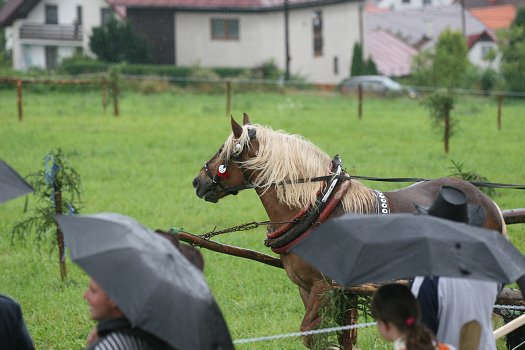 fotocka_20080809_00951.jpg