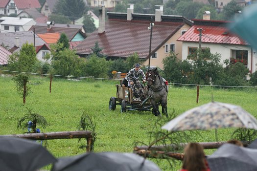 fotocka_20080809_00953.jpg