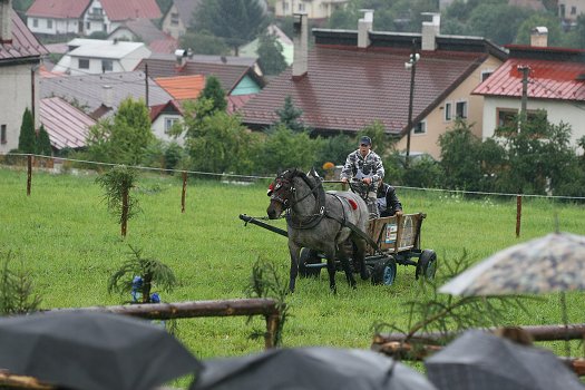 fotocka_20080809_00954.jpg