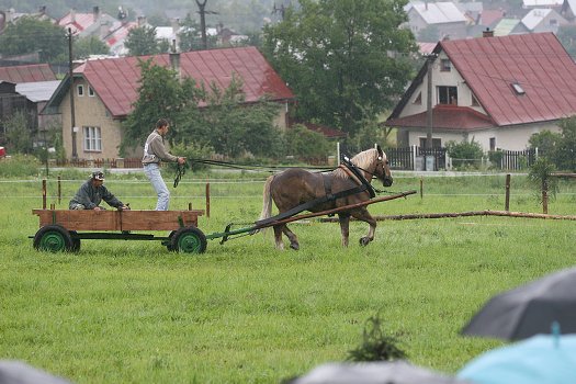 fotocka_20080809_00956.jpg