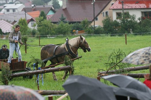 fotocka_20080809_00959.jpg