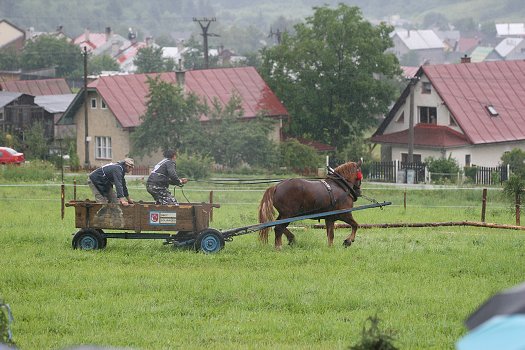 fotocka_20080809_00960.jpg