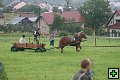 thn_fotocka_20080809_00913.jpg