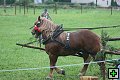 thn_fotocka_20080809_00916.jpg