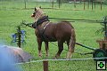 thn_fotocka_20080809_00917.jpg