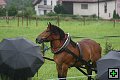 thn_fotocka_20080809_00925.jpg