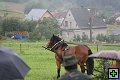 thn_fotocka_20080809_00928.jpg