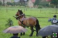 thn_fotocka_20080809_00933.jpg