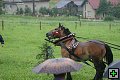 thn_fotocka_20080809_00934.jpg