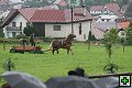thn_fotocka_20080809_00950.jpg