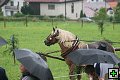 thn_fotocka_20080809_00951.jpg