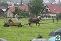 thn_fotocka_20080809_00956.jpg