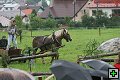 thn_fotocka_20080809_00959.jpg