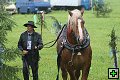 thn_fotocka_20080809_00974.jpg