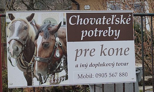 vilim1.jpg